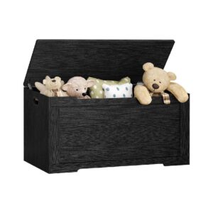 Black Lift Top Storage Chest Bench